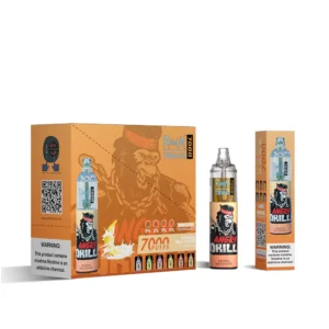 RAndM Tornado 7000 Puffs Vape